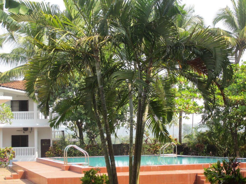 باغا Hotel Riverside المظهر الخارجي الصورة